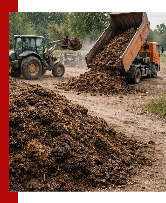 Доставка навоза самосвалами в Севастополе для сельхозпотребностей